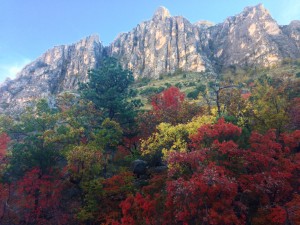guadalupe_mountains