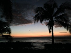 IMG_2801